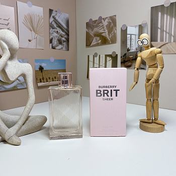 Burberry Brit Sheer Eau de Parfum 100ml