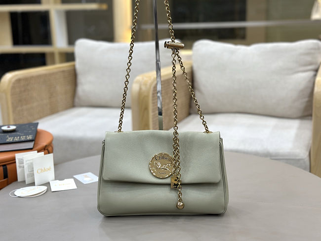 Spring 2026 Chloe Heritage Gold Coin Chain Bag Green 21*13*5cm - 1