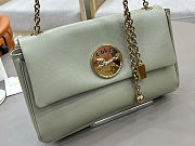 Spring 2026 Chloe Heritage Gold Coin Chain Bag Green 21*13*5cm - 6