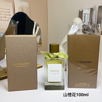 Burberry Hawthorn Bloom Eau de Parfum Women 100ml