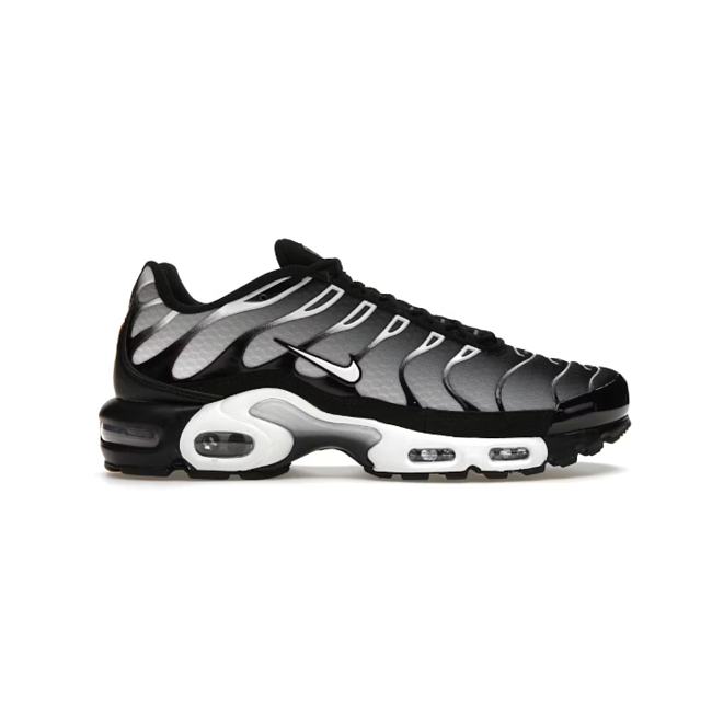 Nike Air Max Plus Black Silver White DM0032-003 - 1