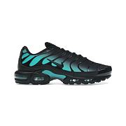 Nike Air Max Plus Black Dusty Cactus DM0032-016 - 1