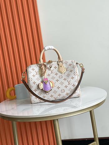 Louis Vuitton Speedy Bandoulière 25 Soft LV Crafty 26x9x15CM